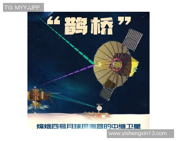 雷蒙的奇幻旅程探索未知世界的勇气与智慧