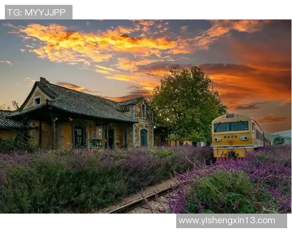 居内什的魅力探秘：探索这座城市的历史文化与现代生活交融之美