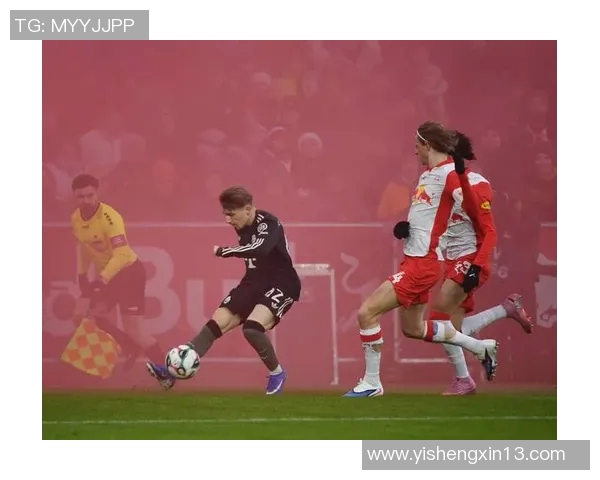 萨尔茨堡与拜仁精彩对决全场录像回放及精彩瞬间解析