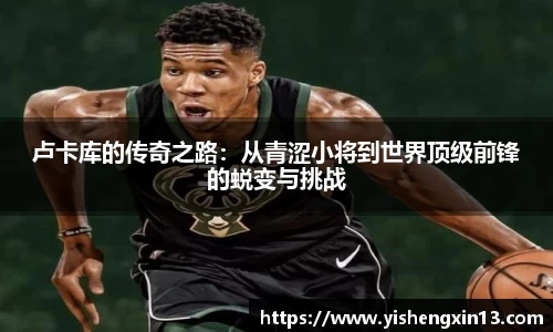 w66利来手机最新版本