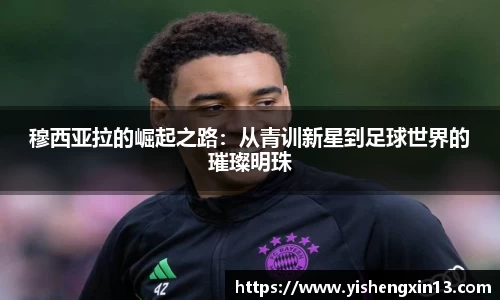 w66利来手机最新版本